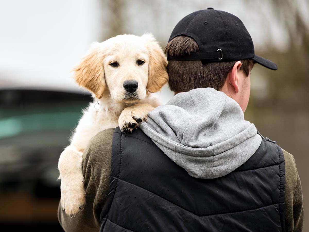 The Governments’ Pet Theft Taskforce Report