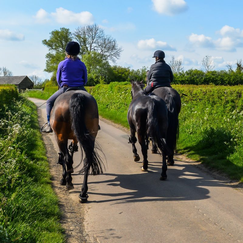 highway-code-rule-changes-for-horses-british-pet-insurance