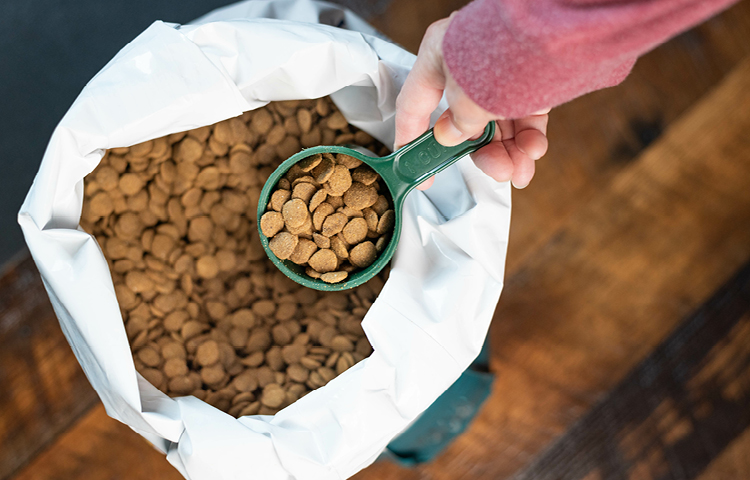 Overhead shot of cat owner measuring out dry cat food with a green scoop.