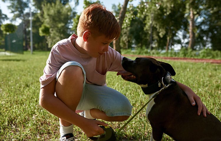 A boy hugging and looking at staffordshire bull terrier