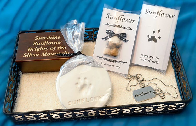 Pet memorial display with a paw print plaque, name tag, fur keepsake, and engraved wooden box for a pet named Sunflower.
